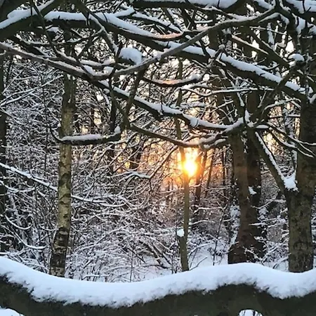 Luetje Nuest Ferienhaus