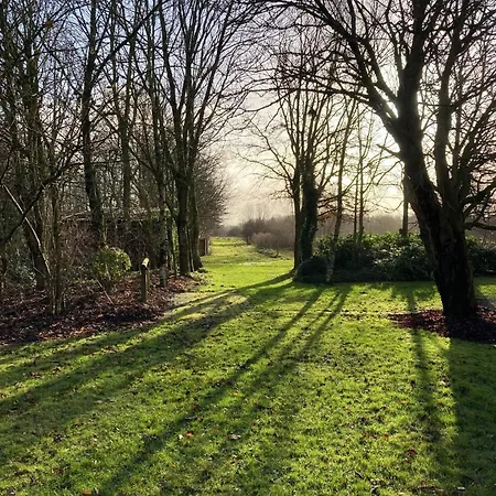 Ferienhaus Luetje Nuest Rechtsupweg