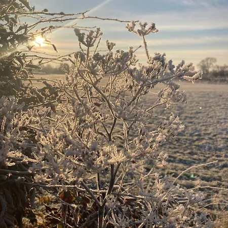 Luetje Nuest Ferienhaus *